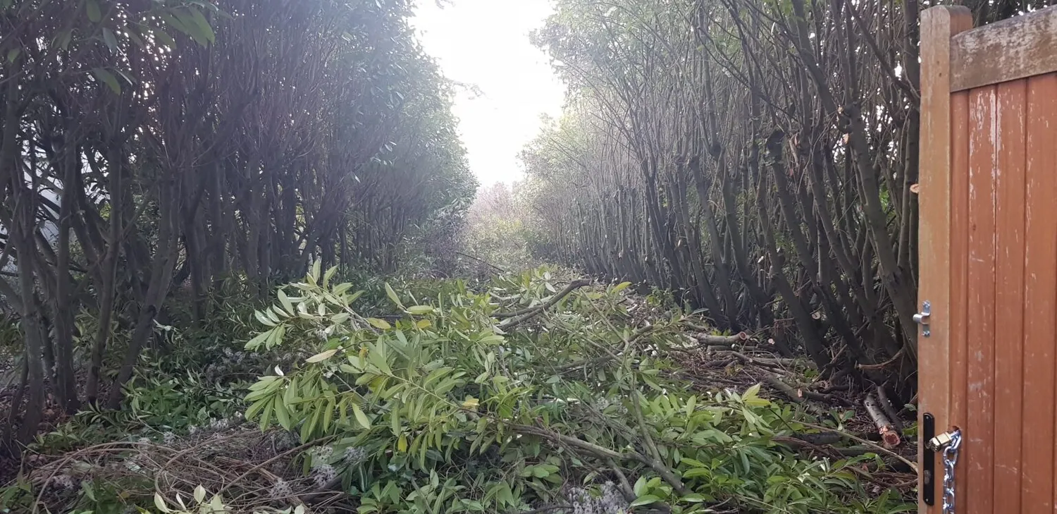 assainissement vitre