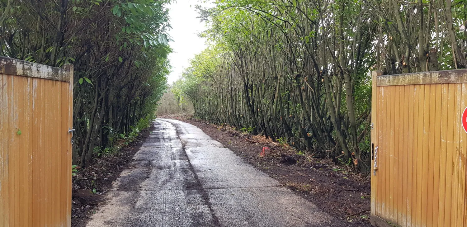 entreprise travaux forestiers saint lo