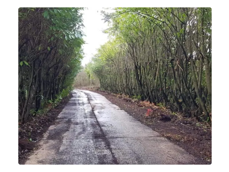 travaux publics vitre